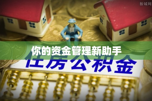 酉阳你的资金管理新助手