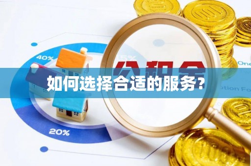 酉阳如何选择合适的服务？