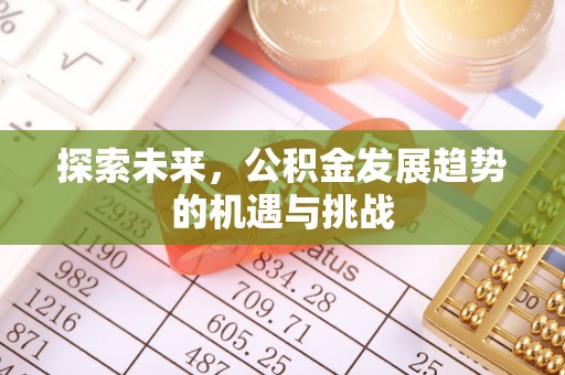 酉阳探索未来，公积金发展趋势的机遇与挑战