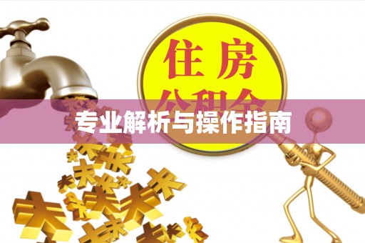 酉阳专业解析与操作指南