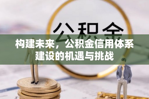 酉阳构建未来，公积金信用体系建设的机遇与挑战