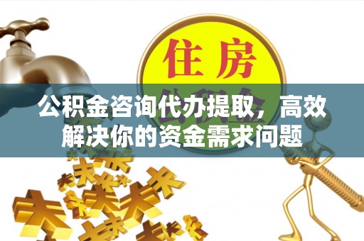 酉阳公积金咨询代办提取，高效解决你的资金需求问题