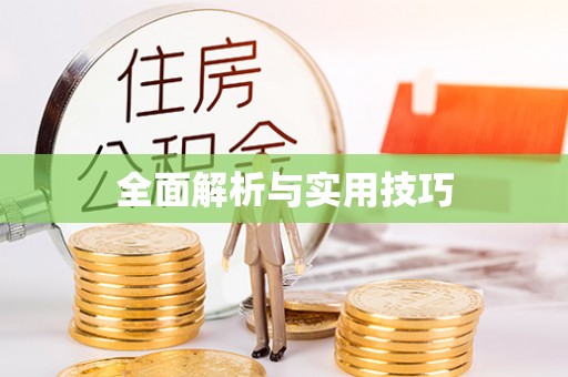 酉阳全面解析与实用技巧