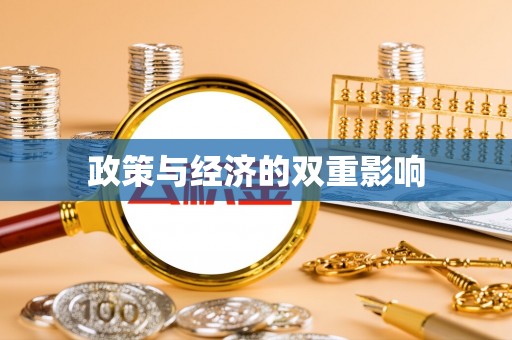 酉阳政策与经济的双重影响