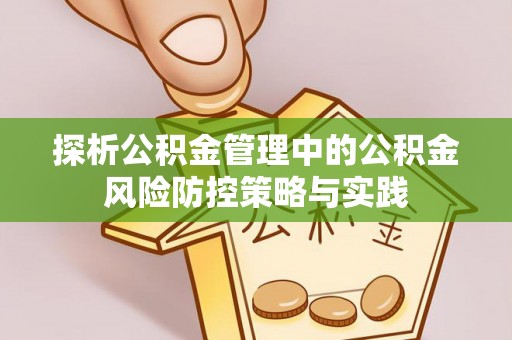 酉阳探析公积金管理中的公积金风险防控策略与实践
