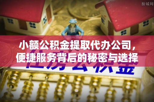 酉阳小额公积金提取代办公司，便捷服务背后的秘密与选择指南