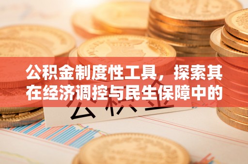 酉阳公积金制度性工具，探索其在经济调控与民生保障中的重要作用