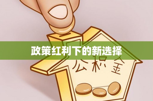 酉阳政策红利下的新选择