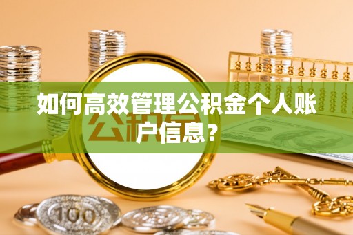 酉阳如何高效管理公积金个人账户信息？