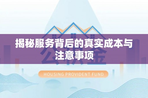 酉阳揭秘服务背后的真实成本与注意事项
