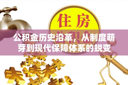 酉阳公积金历史沿革，从制度萌芽到现代保障体系的蜕变