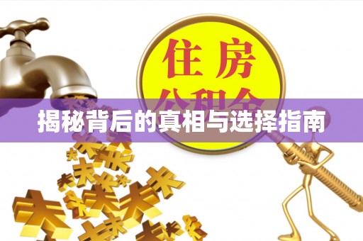 酉阳揭秘背后的真相与选择指南
