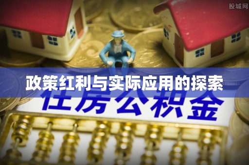 酉阳政策红利与实际应用的探索