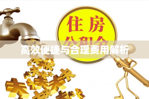 酉阳高效便捷与合理费用解析