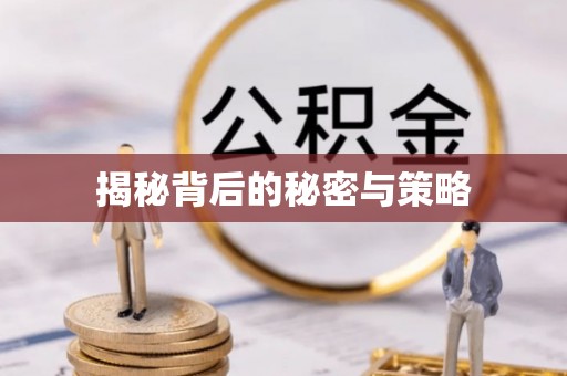 酉阳揭秘背后的秘密与策略