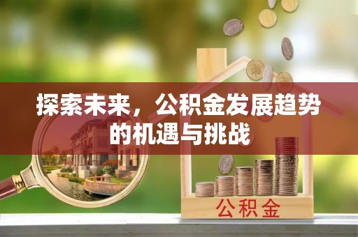酉阳探索未来，公积金发展趋势的机遇与挑战