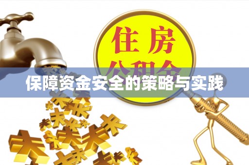 酉阳保障资金安全的策略与实践