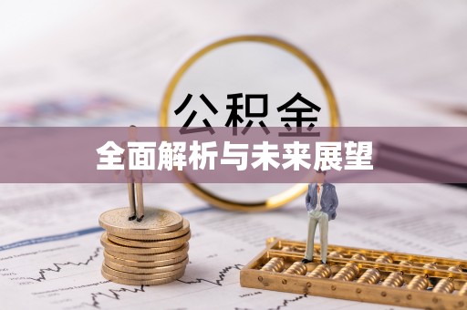 酉阳全面解析与未来展望