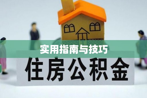 酉阳实用指南与技巧