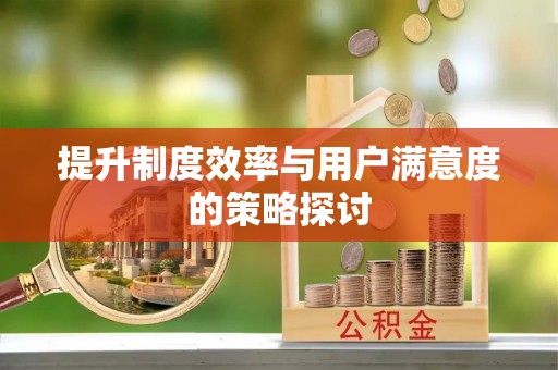 酉阳提升制度效率与用户满意度的策略探讨